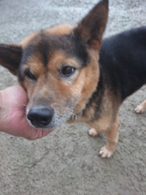 f:id:roukenhome-ann:20190128200424j:plain