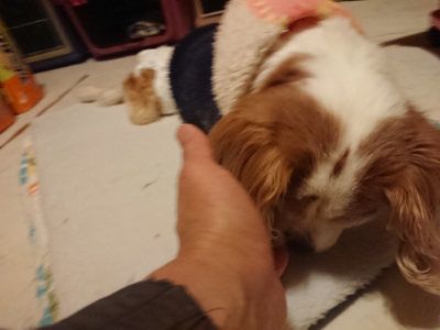 f:id:roukenhome-ann:20190128200434j:plain