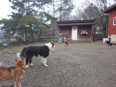 f:id:roukenhome-ann:20190128200611j:plain