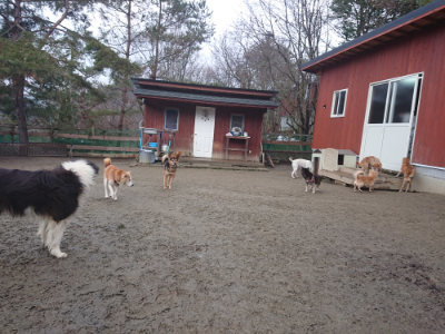 f:id:roukenhome-ann:20190128200617j:plain