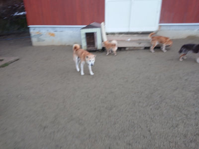 f:id:roukenhome-ann:20190128200628j:plain