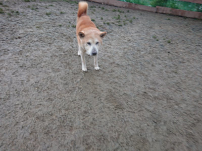 f:id:roukenhome-ann:20190128200641j:plain