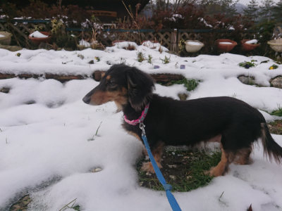 f:id:roukenhome-ann:20190128200700j:plain