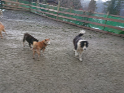 f:id:roukenhome-ann:20190128200706j:plain