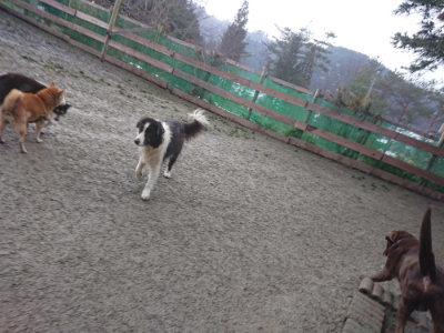 f:id:roukenhome-ann:20190128200712j:plain