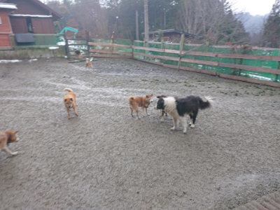 f:id:roukenhome-ann:20190128200718j:plain