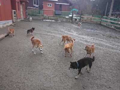 f:id:roukenhome-ann:20190128200738j:plain