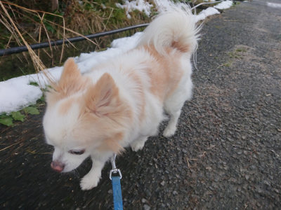 f:id:roukenhome-ann:20190128200804j:plain