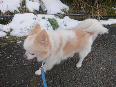 f:id:roukenhome-ann:20190128200810j:plain