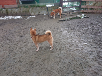 f:id:roukenhome-ann:20190128200815j:plain