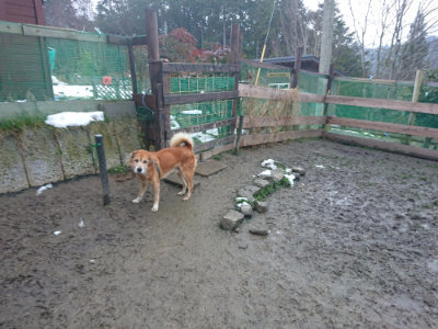f:id:roukenhome-ann:20190128200821j:plain