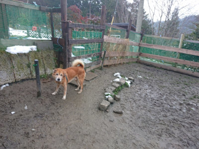 f:id:roukenhome-ann:20190128200828j:plain