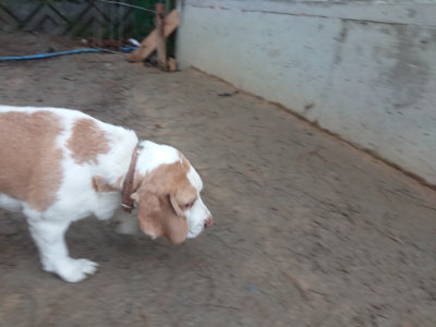 f:id:roukenhome-ann:20190128201905j:plain