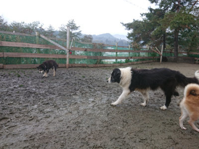 f:id:roukenhome-ann:20190128201922j:plain