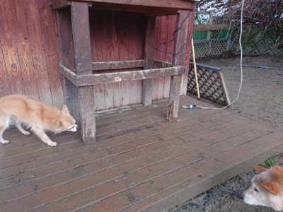 f:id:roukenhome-ann:20190128202042j:plain