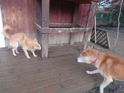 f:id:roukenhome-ann:20190128202113j:plain