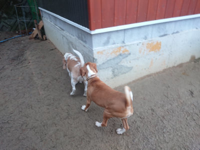 f:id:roukenhome-ann:20190128202302j:plain