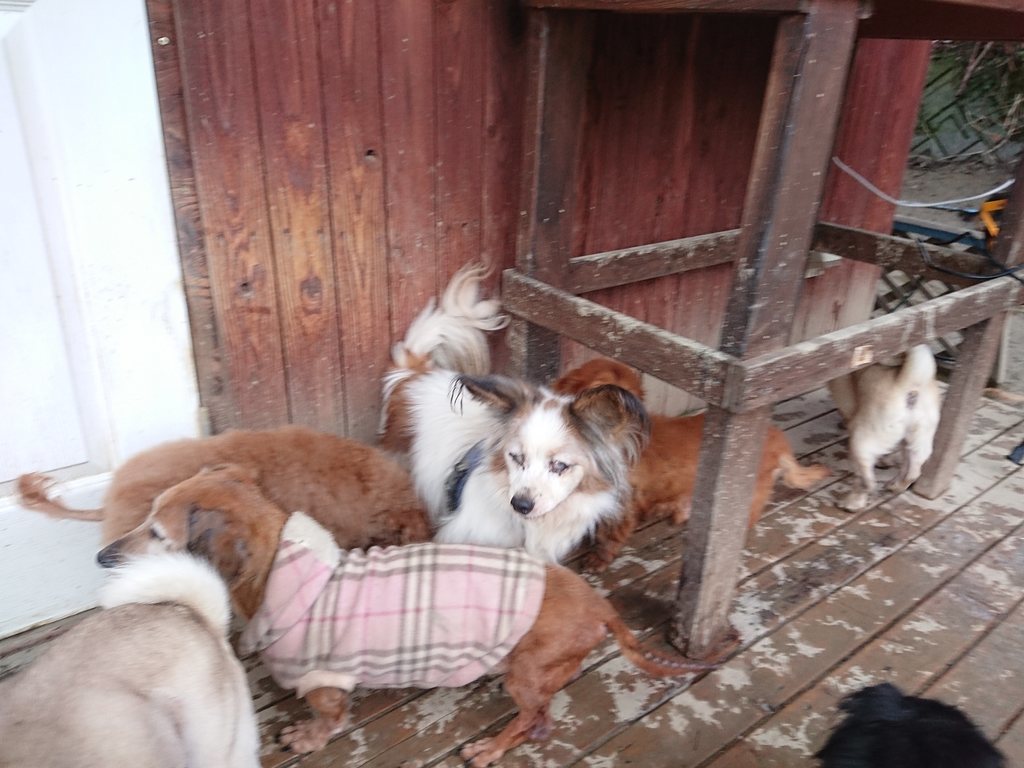 f:id:roukenhome-ann:20190128202632j:plain