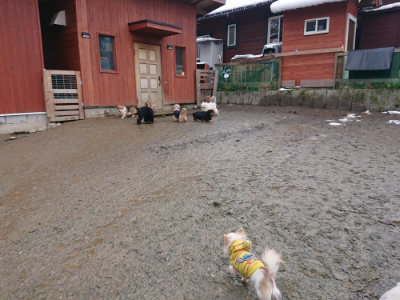 f:id:roukenhome-ann:20190128202750j:plain