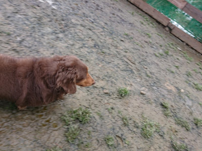 f:id:roukenhome-ann:20190128202755j:plain