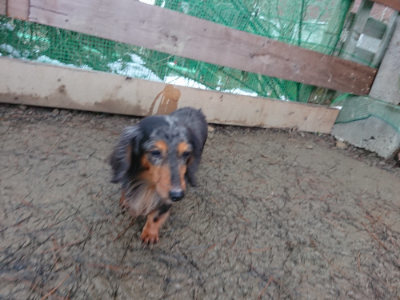 f:id:roukenhome-ann:20190128202803j:plain