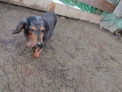 f:id:roukenhome-ann:20190128202808j:plain