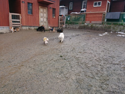 f:id:roukenhome-ann:20190128202822j:plain