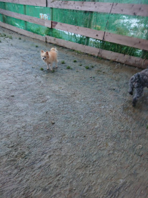 f:id:roukenhome-ann:20190128202840j:plain
