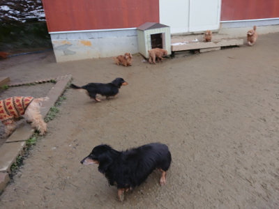 f:id:roukenhome-ann:20190129052240j:plain f:id:roukenhome-ann:20190129052240j:plain