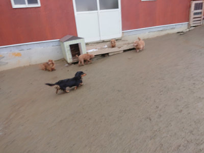 f:id:roukenhome-ann:20190129052245j:plain f:id:roukenhome-ann:20190129052245j:plain