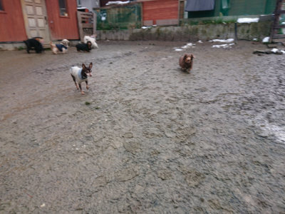 f:id:roukenhome-ann:20190129052330j:plain f:id:roukenhome-ann:20190129052330j:plain