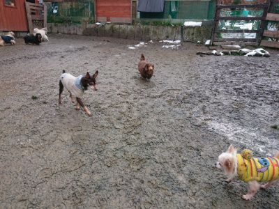 f:id:roukenhome-ann:20190129052335j:plain f:id:roukenhome-ann:20190129052335j:plain