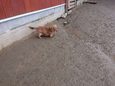f:id:roukenhome-ann:20190129052410j:plain f:id:roukenhome-ann:20190129052410j:plain