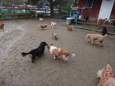 f:id:roukenhome-ann:20190129052449j:plain f:id:roukenhome-ann:20190129052449j:plain