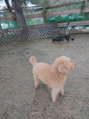 f:id:roukenhome-ann:20190129052455j:plain f:id:roukenhome-ann:20190129052455j:plain