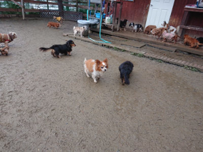 f:id:roukenhome-ann:20190129052513j:plain f:id:roukenhome-ann:20190129052513j:plain