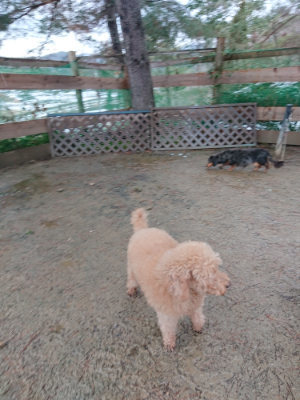 f:id:roukenhome-ann:20190129052520j:plain f:id:roukenhome-ann:20190129052520j:plain