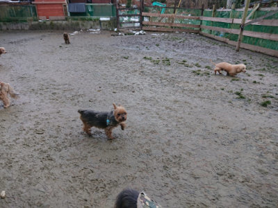 f:id:roukenhome-ann:20190129052550j:plain f:id:roukenhome-ann:20190129052550j:plain