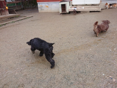 f:id:roukenhome-ann:20190129052612j:plain f:id:roukenhome-ann:20190129052612j:plain