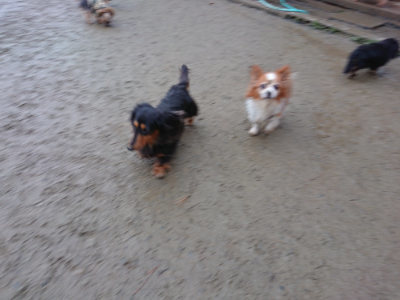 f:id:roukenhome-ann:20190129052618j:plain f:id:roukenhome-ann:20190129052618j:plain