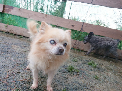 f:id:roukenhome-ann:20190129052623j:plain f:id:roukenhome-ann:20190129052623j:plain