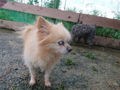 f:id:roukenhome-ann:20190129052630j:plain f:id:roukenhome-ann:20190129052630j:plain