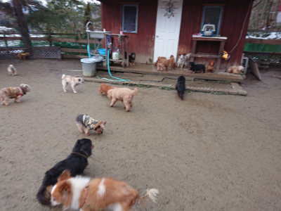 f:id:roukenhome-ann:20190129052708j:plain f:id:roukenhome-ann:20190129052708j:plain