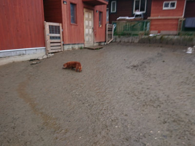 f:id:roukenhome-ann:20190129053012j:plain f:id:roukenhome-ann:20190129053012j:plain