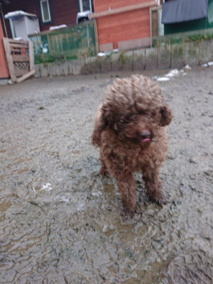 f:id:roukenhome-ann:20190129053034j:plain f:id:roukenhome-ann:20190129053034j:plain