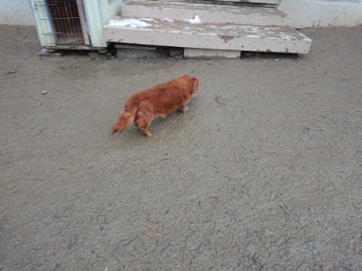 f:id:roukenhome-ann:20190129053041j:plain f:id:roukenhome-ann:20190129053041j:plain