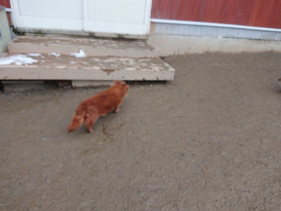 f:id:roukenhome-ann:20190129053113j:plain f:id:roukenhome-ann:20190129053113j:plain