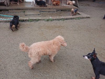f:id:roukenhome-ann:20190129053118j:plain f:id:roukenhome-ann:20190129053118j:plain