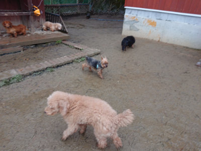 f:id:roukenhome-ann:20190129053123j:plain f:id:roukenhome-ann:20190129053123j:plain