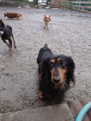 f:id:roukenhome-ann:20190129053152j:plain f:id:roukenhome-ann:20190129053152j:plain